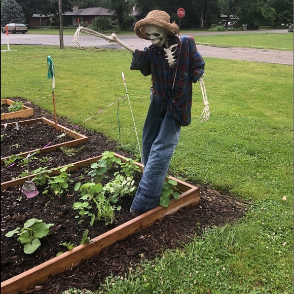 Meet your Posher, Gail - Picture 1 of 1